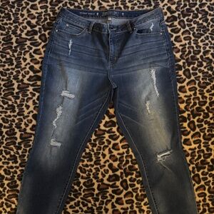 Jennifer Lopez Skinny Jean, Size 16